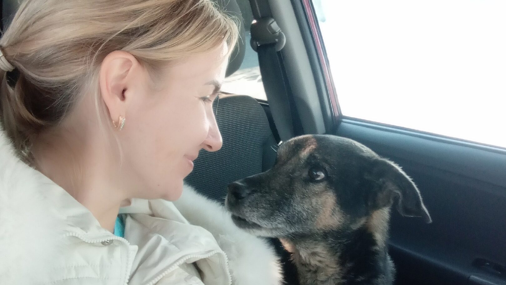 Животные спасают людей: семь историй про отвагу питомцев