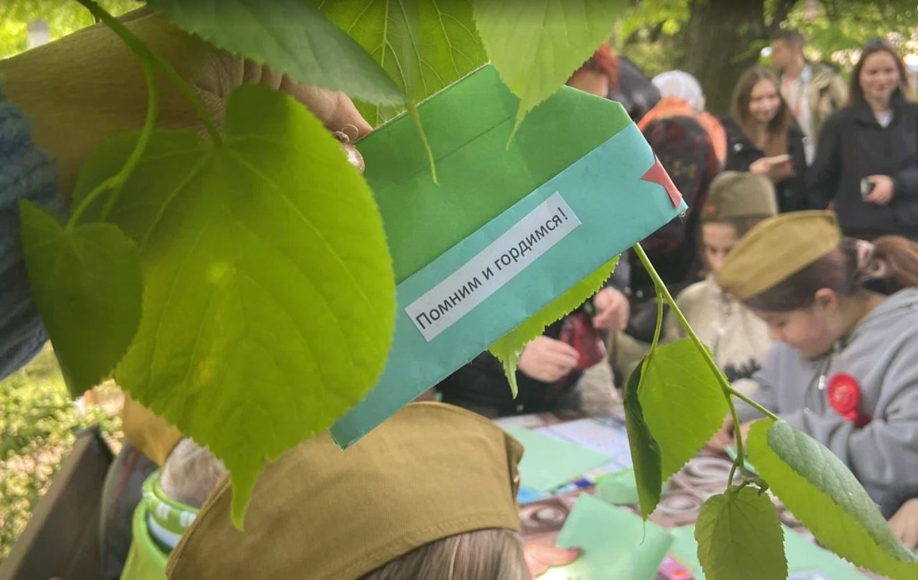 Память, свисающая с деревьев.