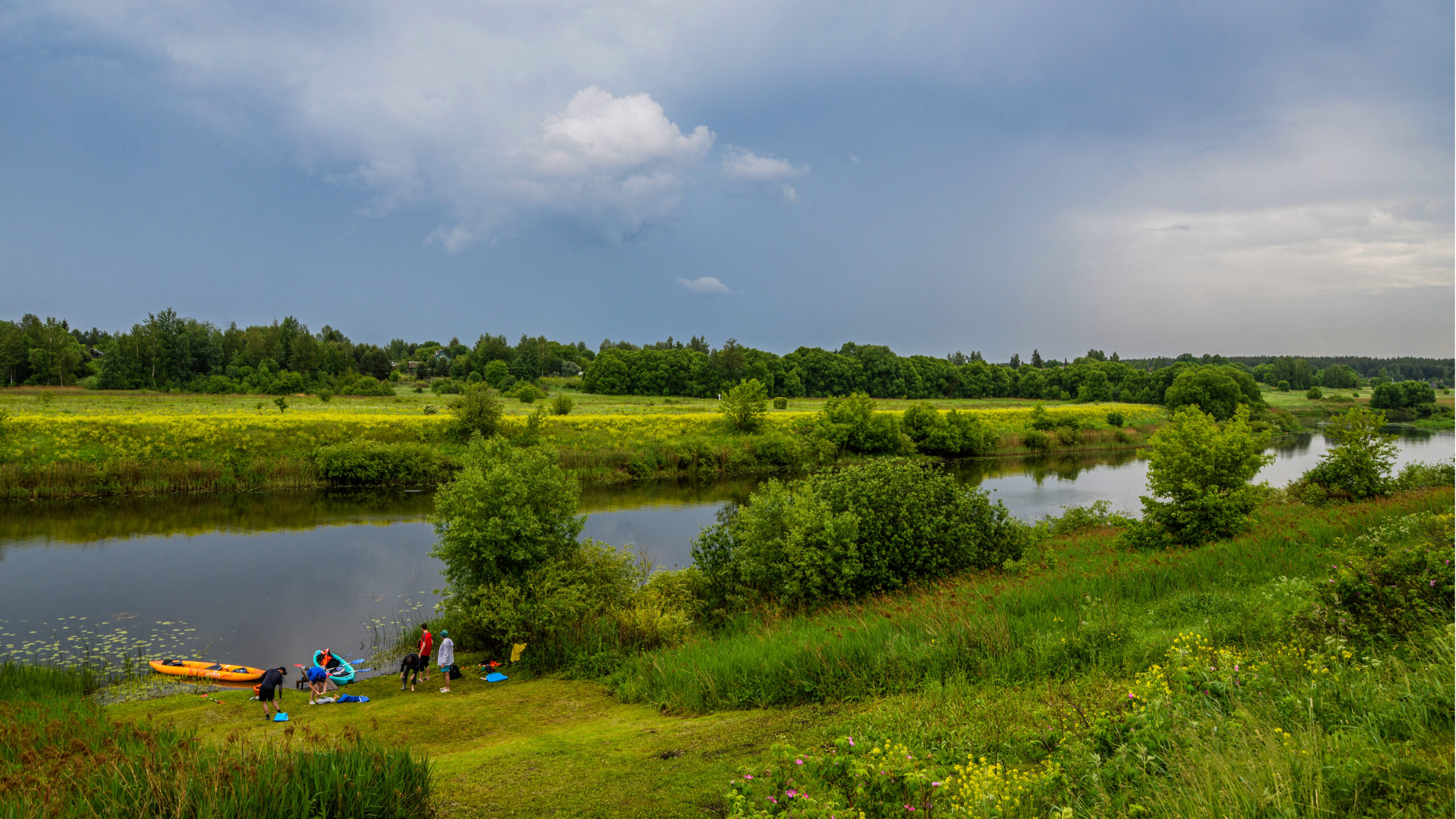 Во Владимирской области реализуется проект «Научное волонтёрство»
