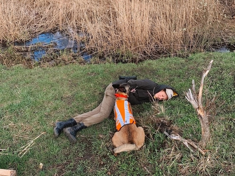 Применение собак ПСС на ПСР