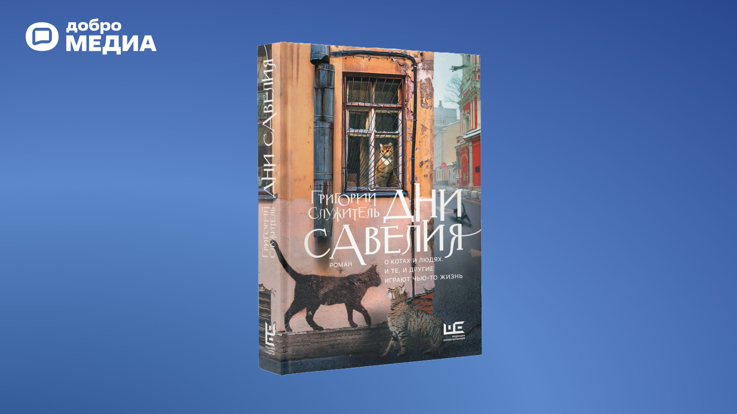 Какие книги на лето выбрать