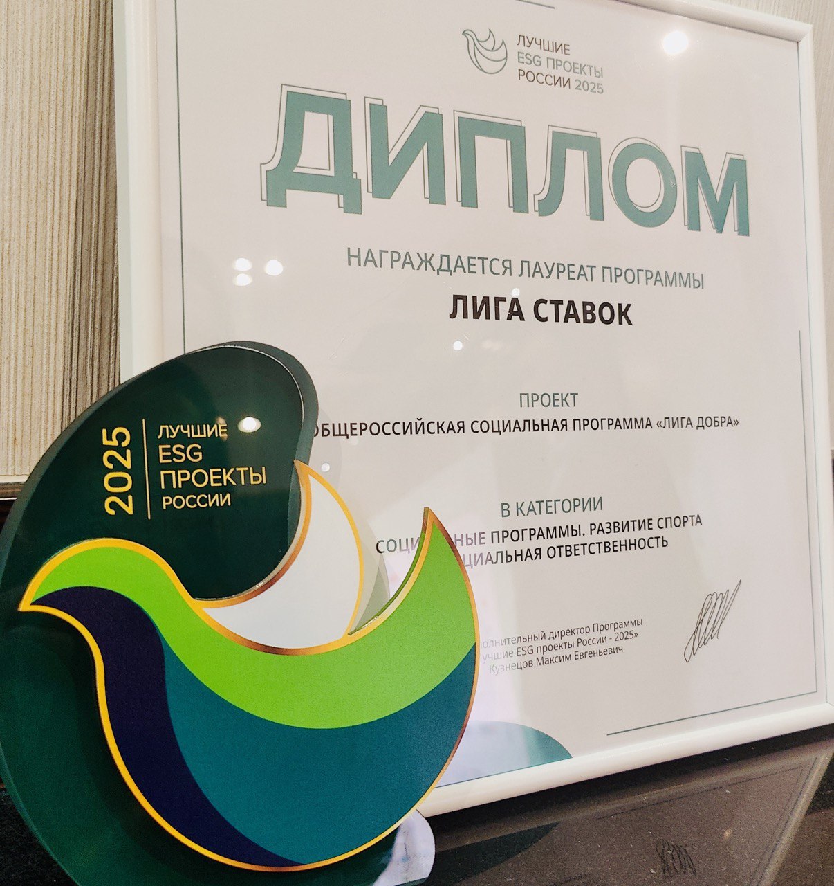 «Лига Добра» признана лучшим ESG-проектом России