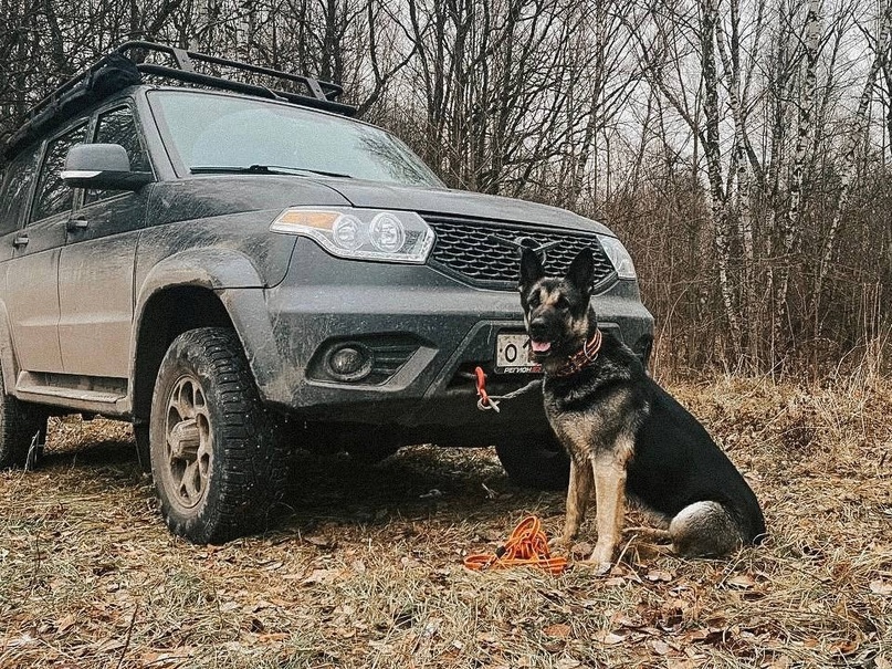 Применение собак ПТП на ПСР