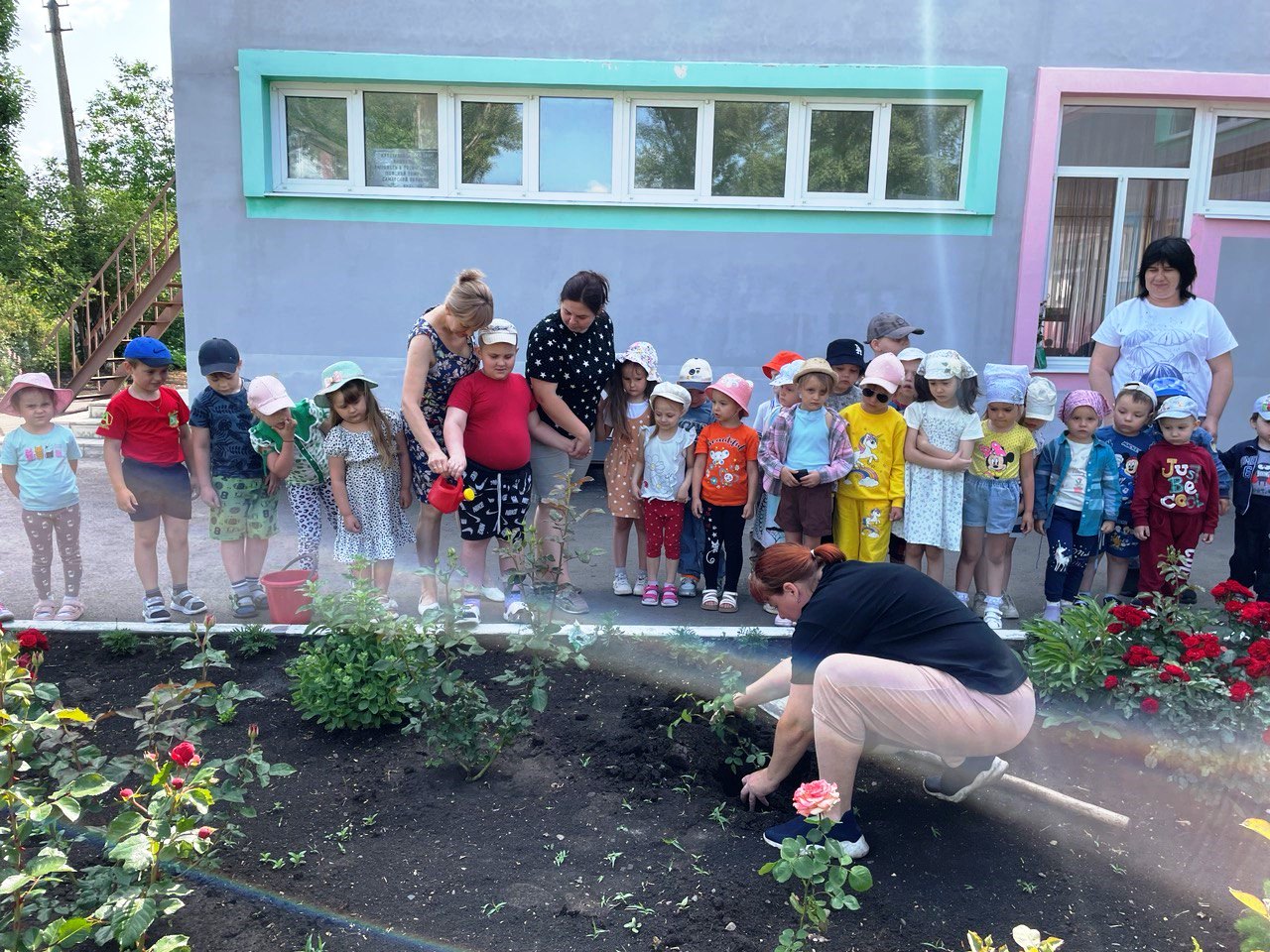 Розы Донбасса