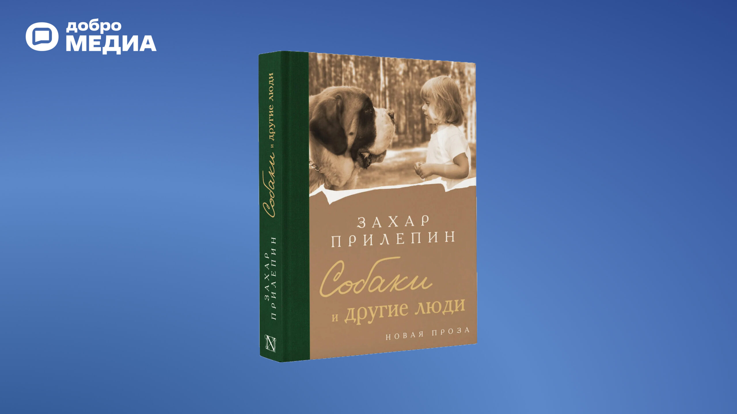 Какие книги на лето выбрать