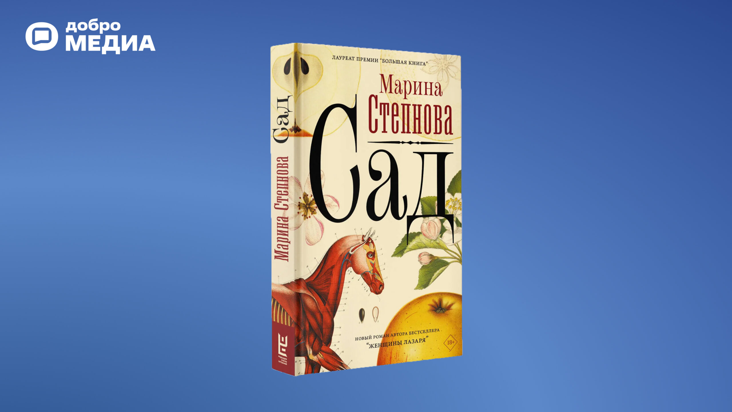 Какие книги на лето выбрать