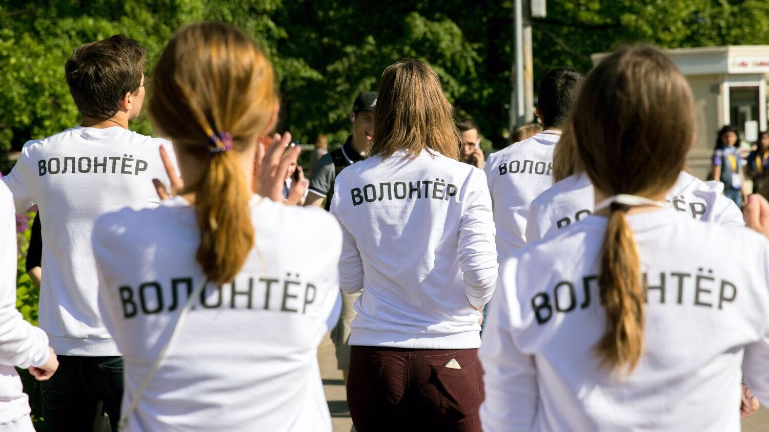 Кто такие волонтёры и какие виды добровольческой деятельности существуют