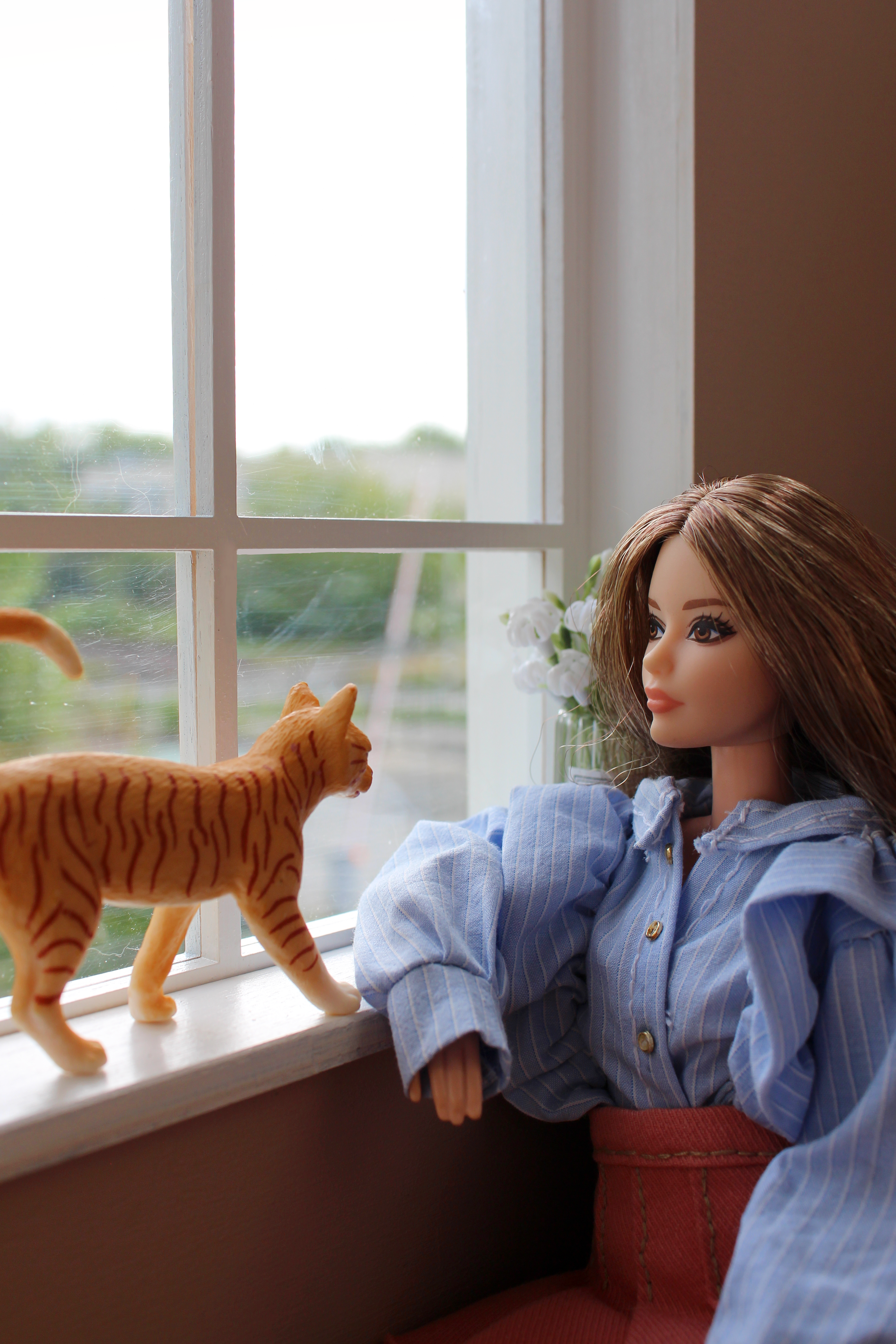 Доброе дело на каждый день. Возьмите животных на передержку