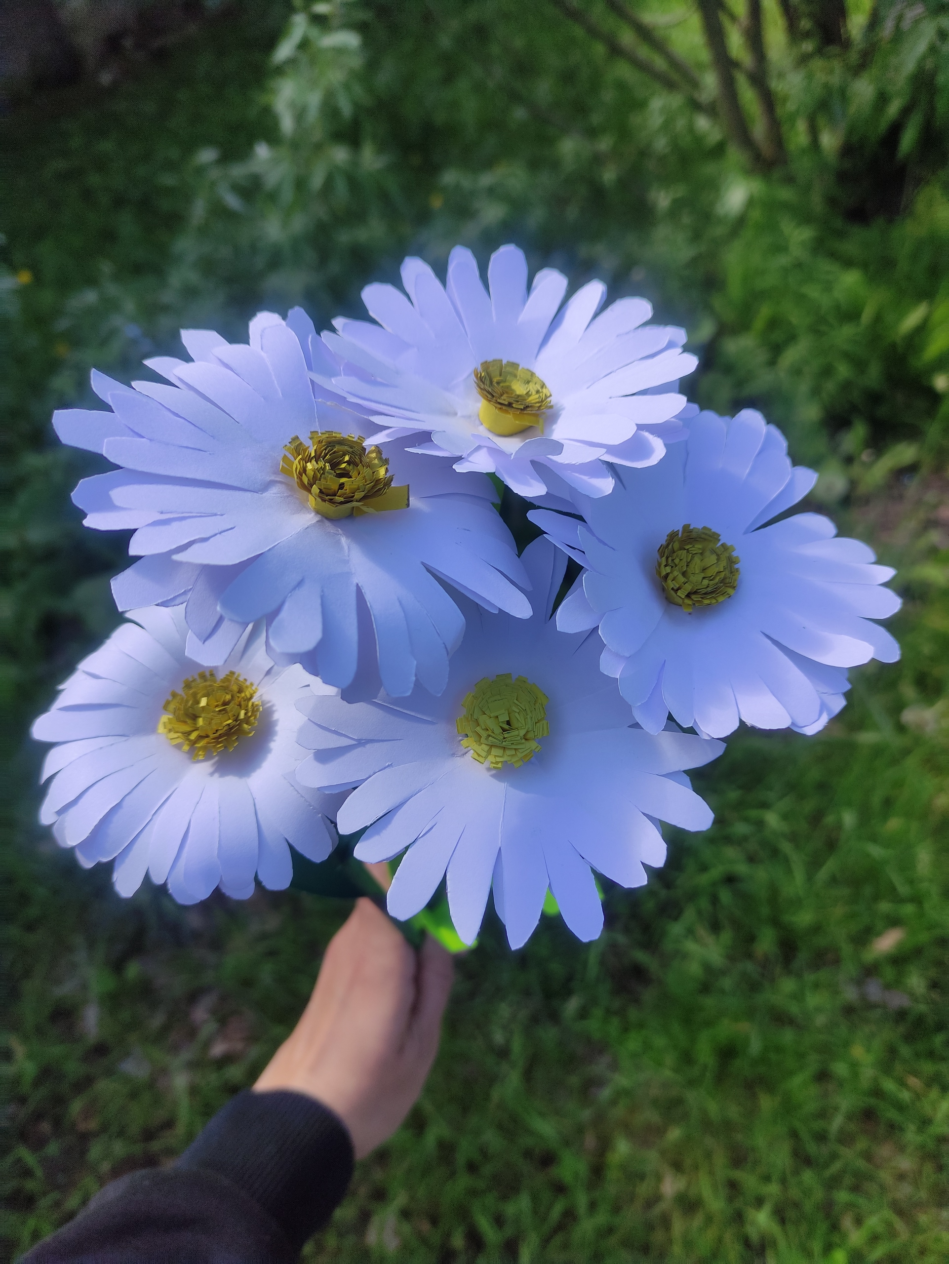 Акция «Ромашковое настроение»