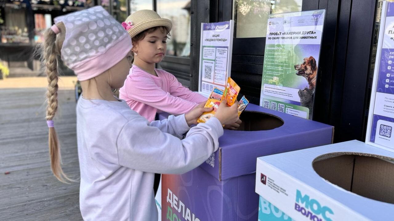 Как жертвовать деньги на благотворительность правильно?
