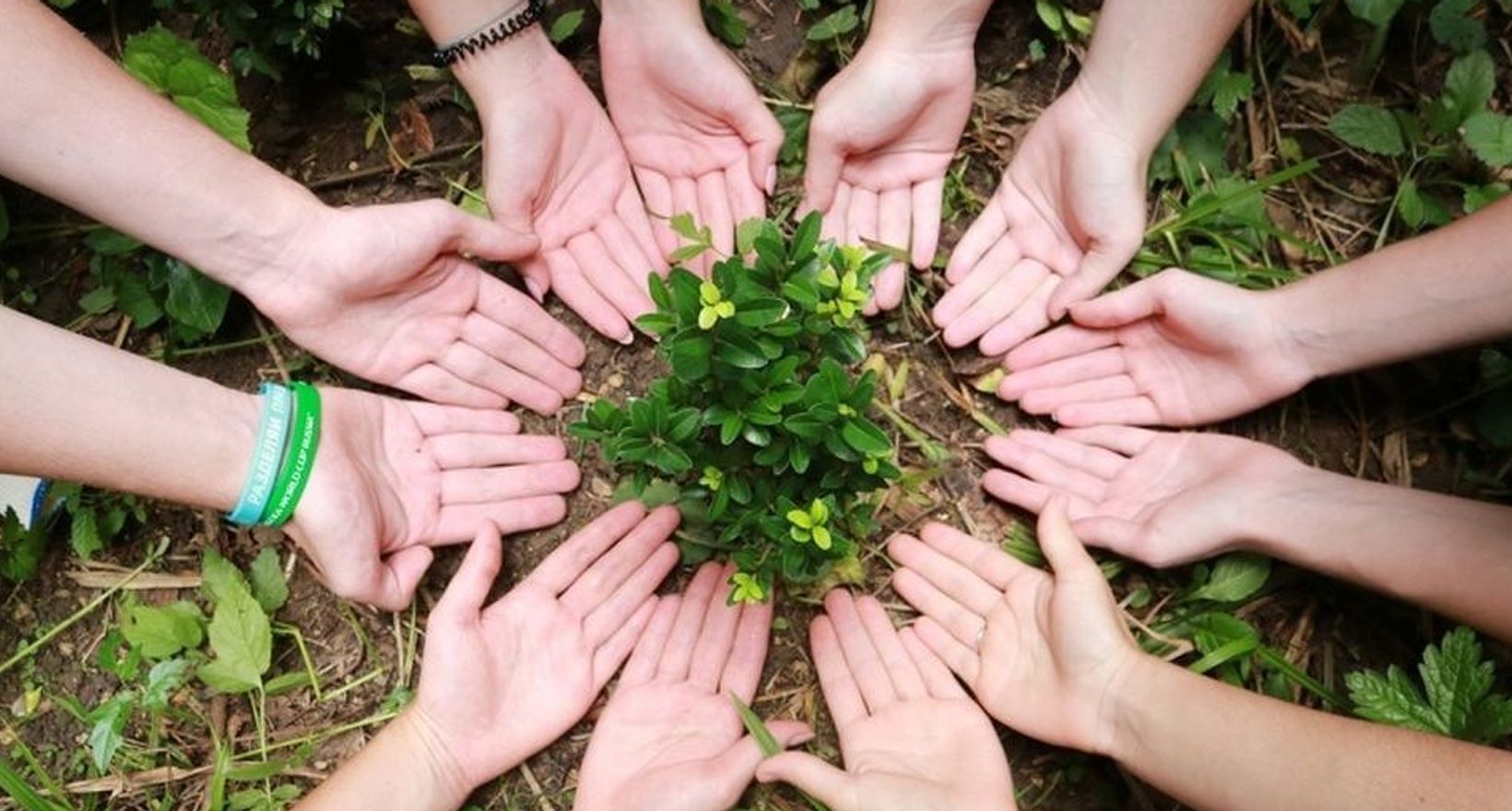 Волонтерство — сила, которая меняет мир