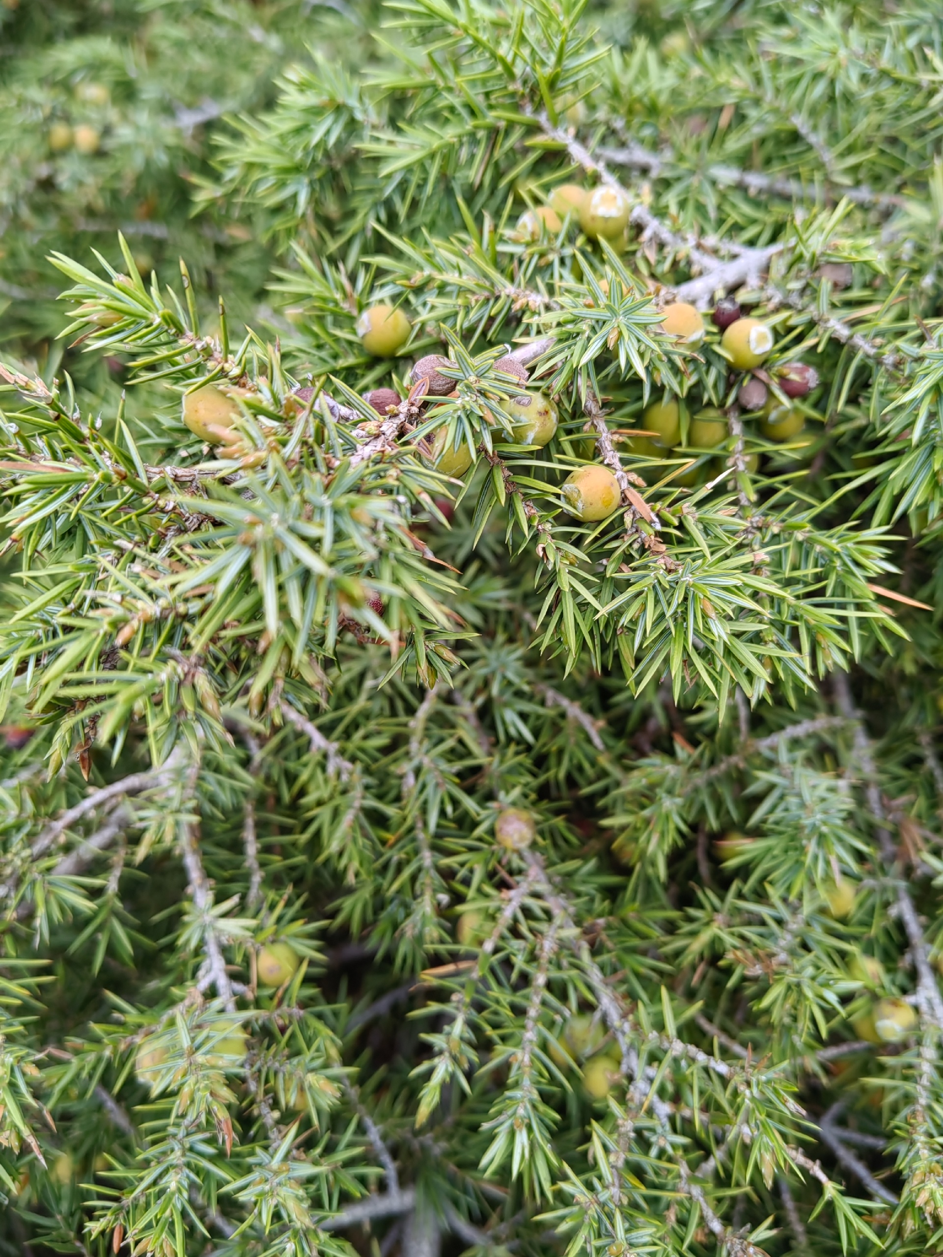 Города должны дышать