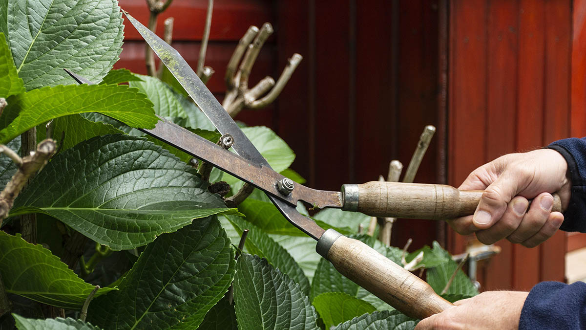 Новые запреты для дачников: что изменится с 1 сентября