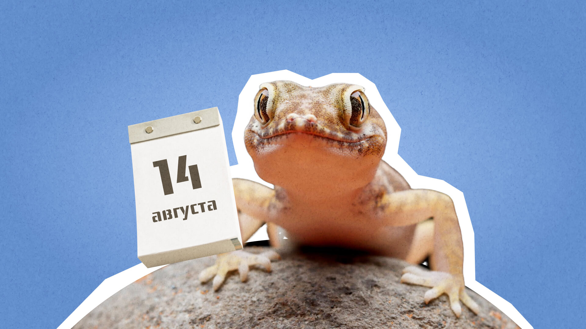 14 августа: какой сегодня праздник отмечают в России и мире?