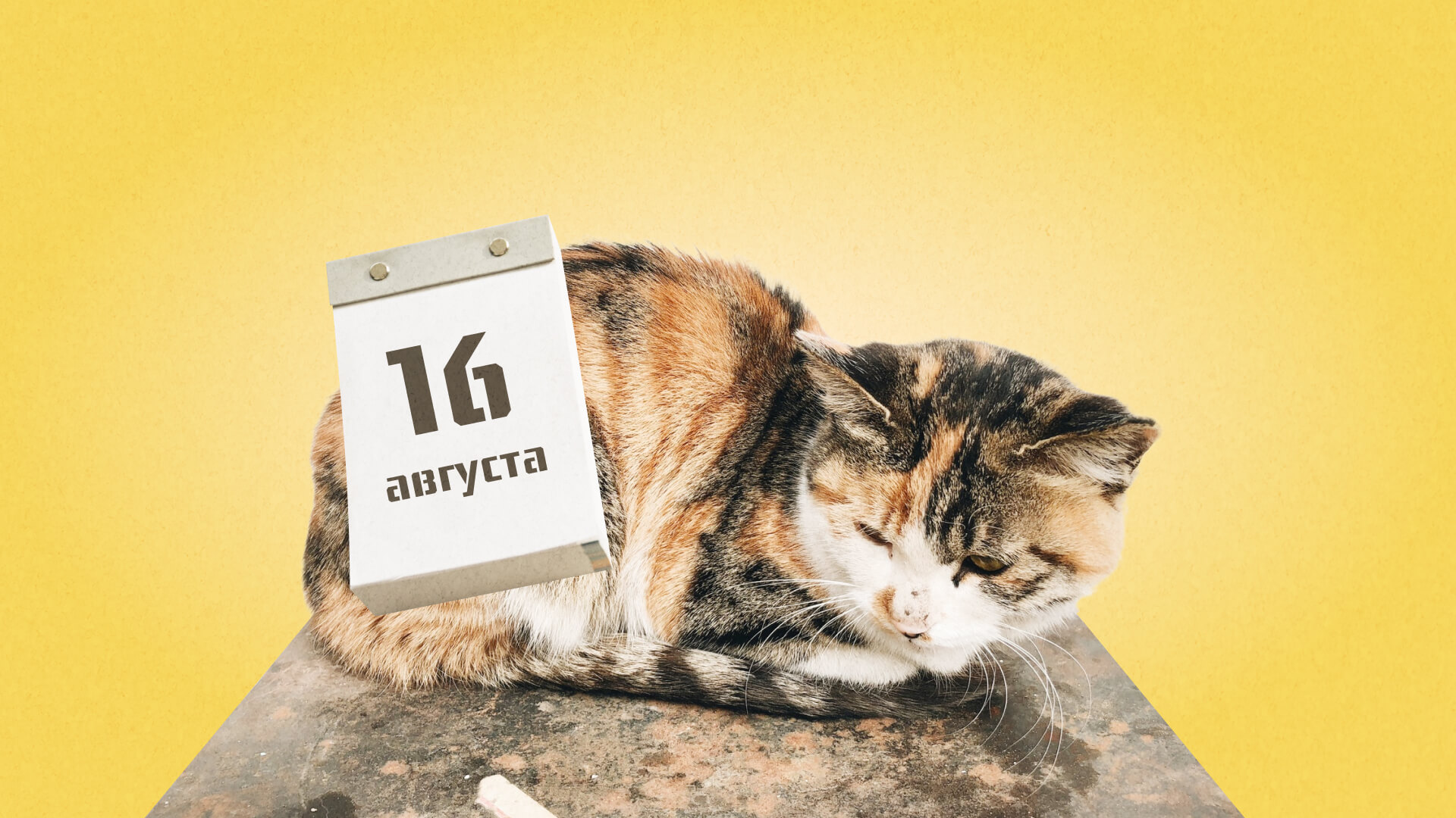 16 августа: какой сегодня праздник отмечают в России и мире?