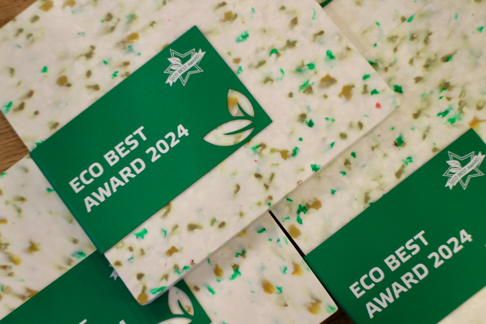 Продолжается приём заявок на Премию ECO BEST-2025, где рождаются стандарты экологии нового поколения