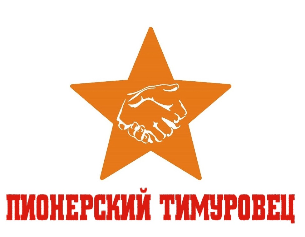 Программа развития тимуровского движения «Пионерский Тимуровец»