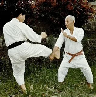 Каратэ – искусство долго жить