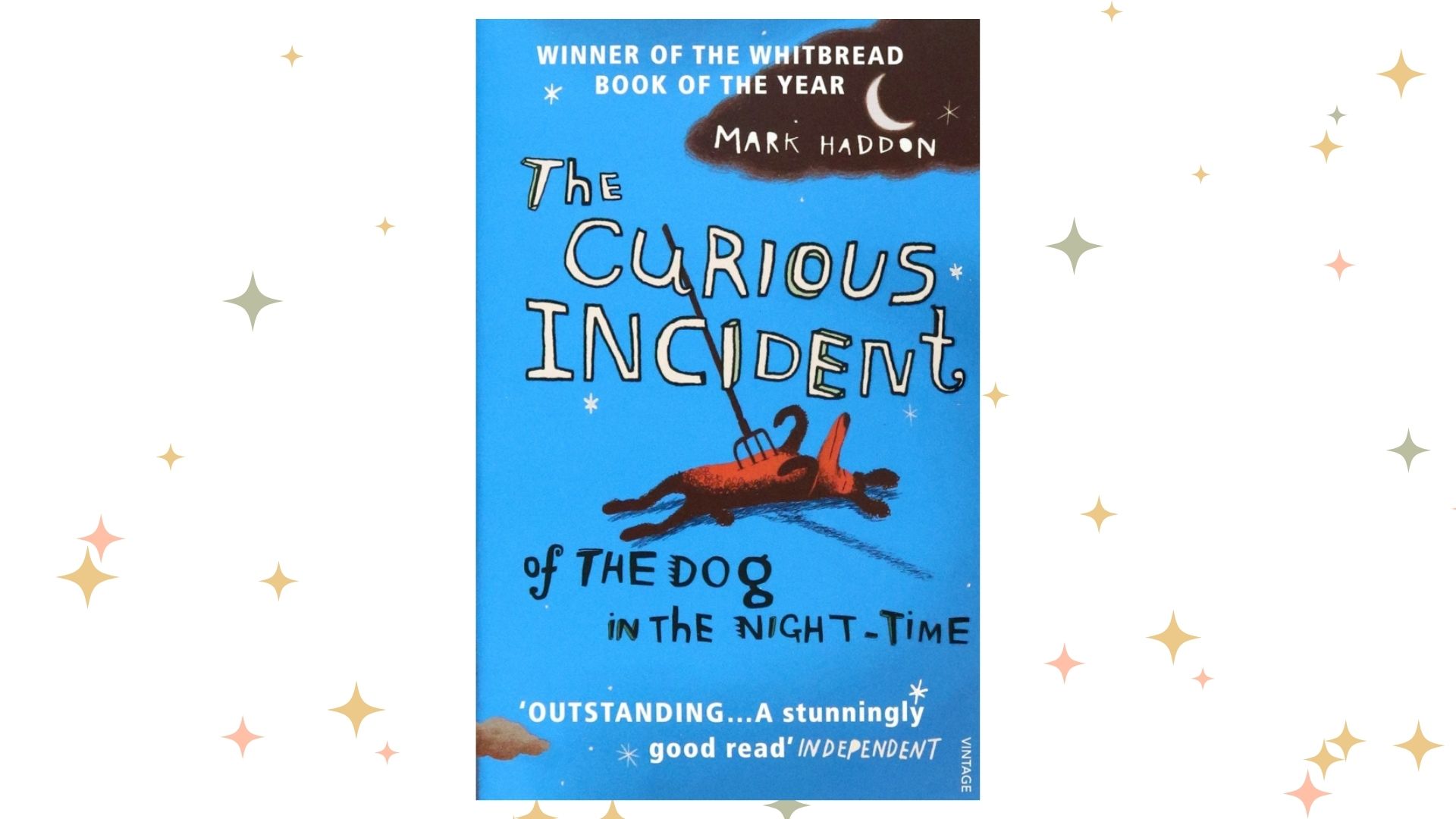 The Curious Incident of the Dog in the Night, Mark Haddon. Графика: Добро.Медиа
