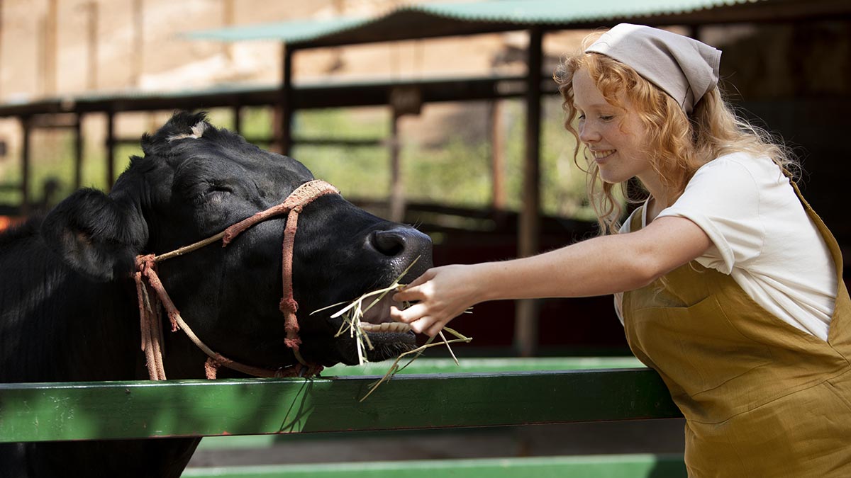 Не смотрите на Луну! Народные приметы на сегодня, 22 августа – что можно и нельзя делать