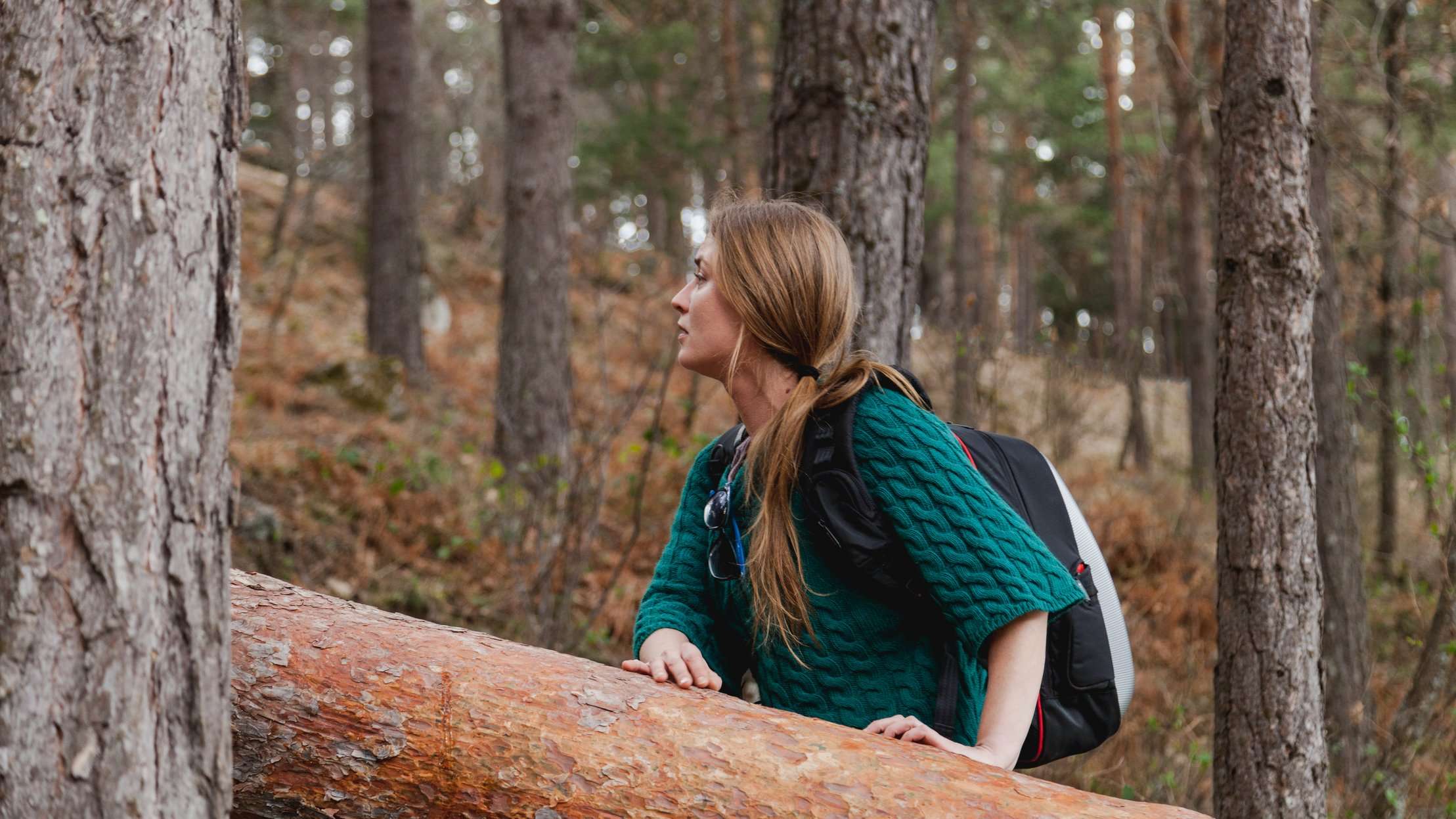 Что делать, если заблудился в лесу: рекомендации спасателей