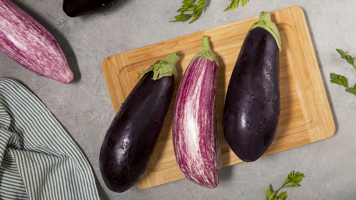 Рецепты из баклажанов: топ-50 идей, что приготовить и как правильно заморозить