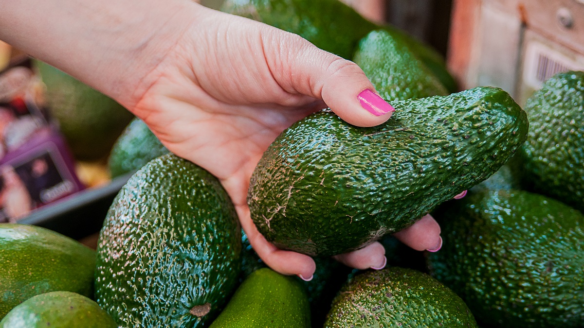 Авокадо: польза и вред, калорийность, 5 вкусных рецептов