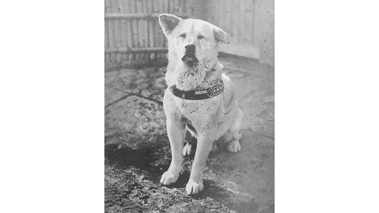 Работник в британской резиденции и пророк: топ-5 самых известных в мире животных