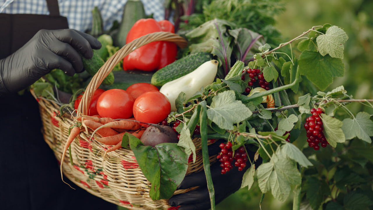 Урожай лишним не бывает: россияне могут  сдать излишки овощей, чтобы накормить нуждающихся