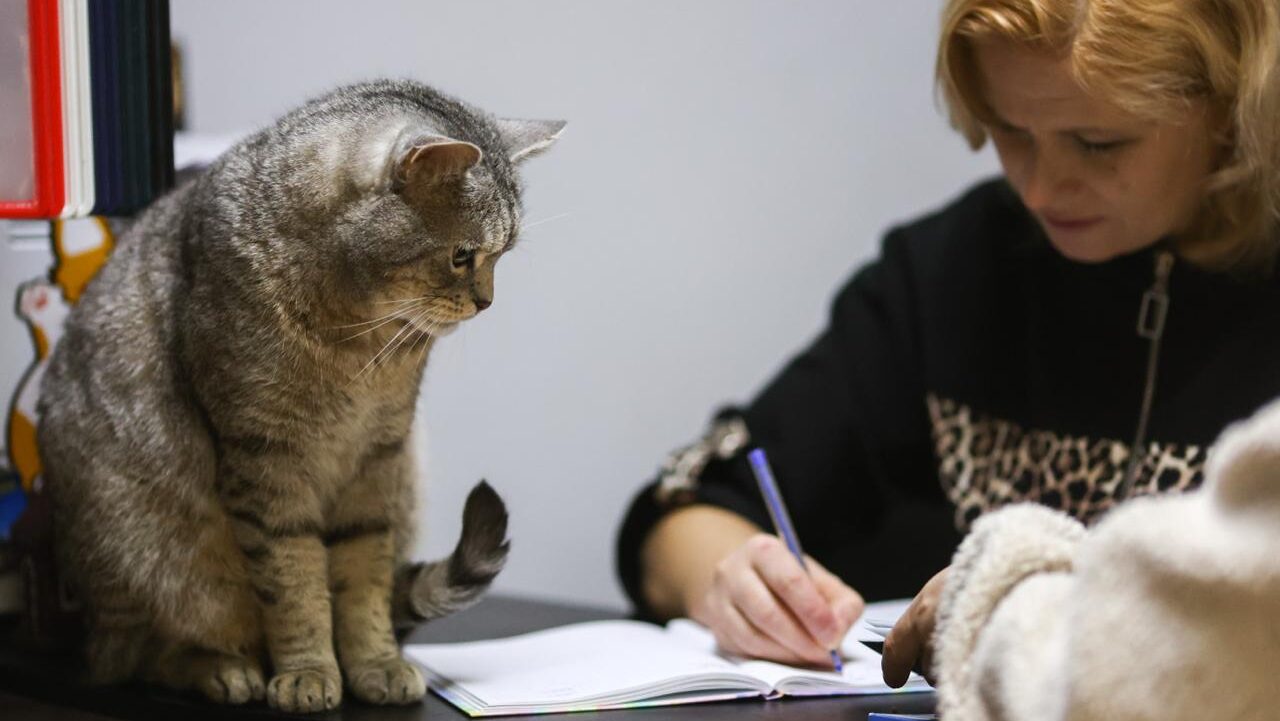 31 августа: какой сегодня праздник отмечают в России и мире?