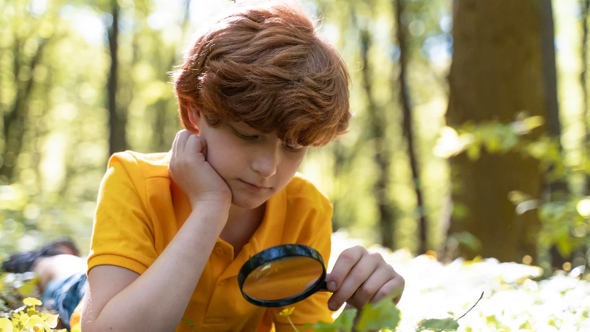 «Запомнил всё с одного взгляда»: простые техники развития зрительной памяти от экспертов 
