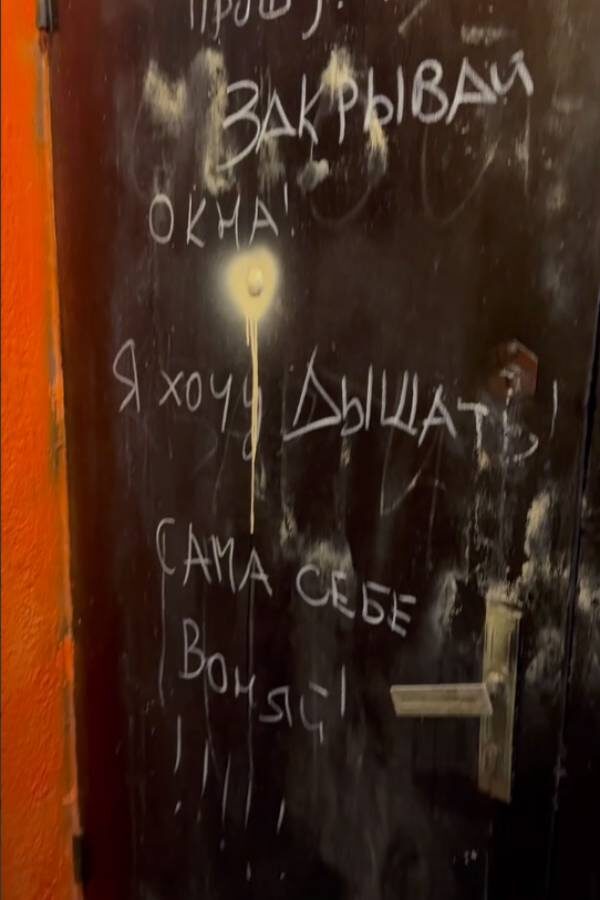 Дверь Светланы