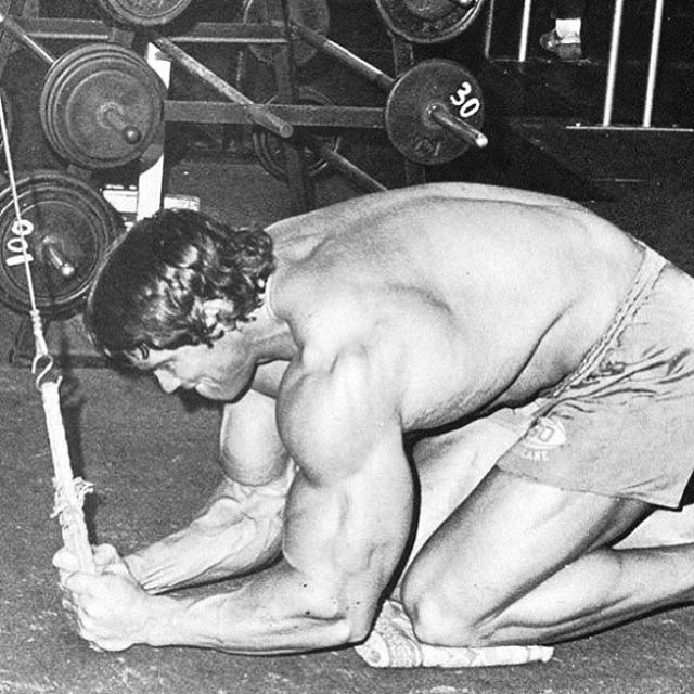 Молился  ли  ты  на  ночь, Шварценеггер?