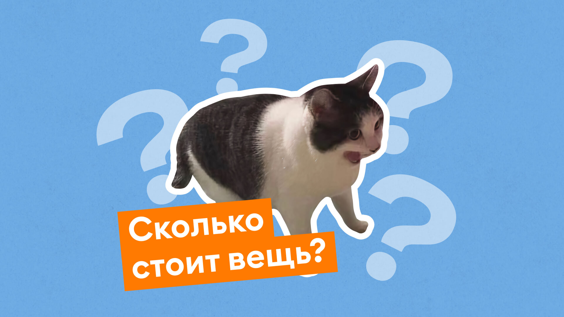 Брелок за 3 миллиона или за шорты за 100 рублей? Пройдите тест и угадайте, сколько стоят вещи
