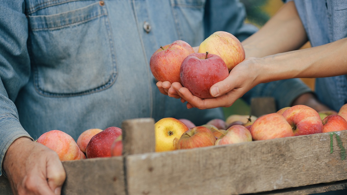 19 августа: какой сегодня праздник отмечают в России и мире?