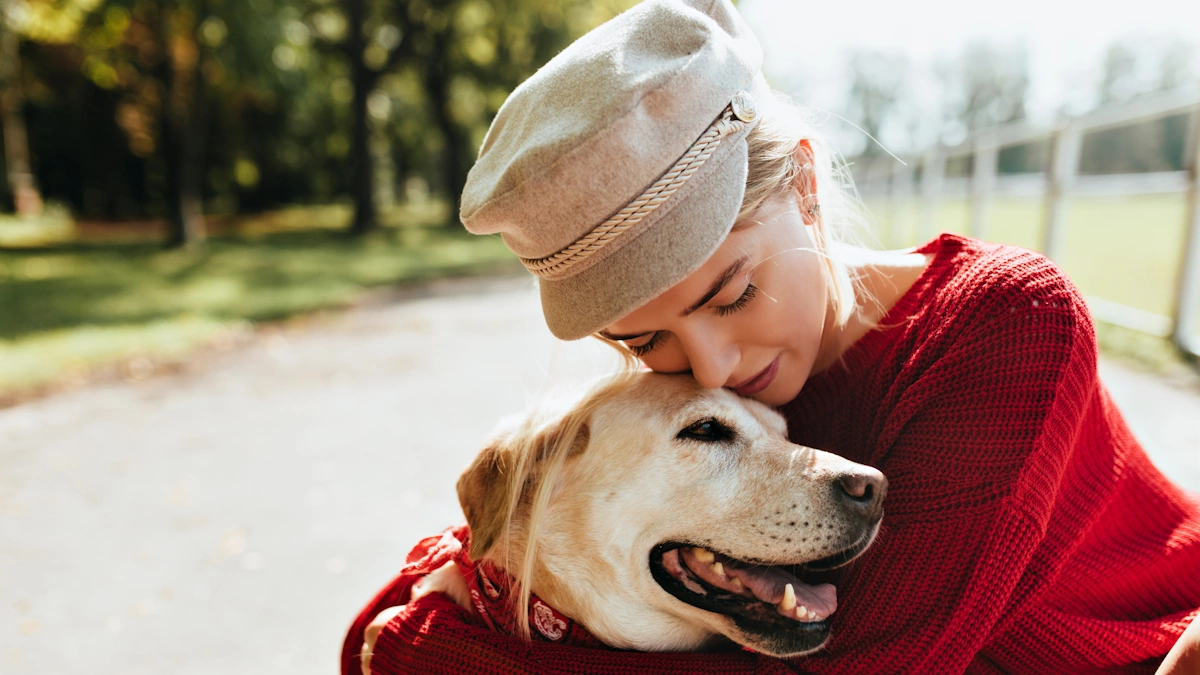 День бездомных животных: как один пост в 2025 году может изменить чью-то жизнь