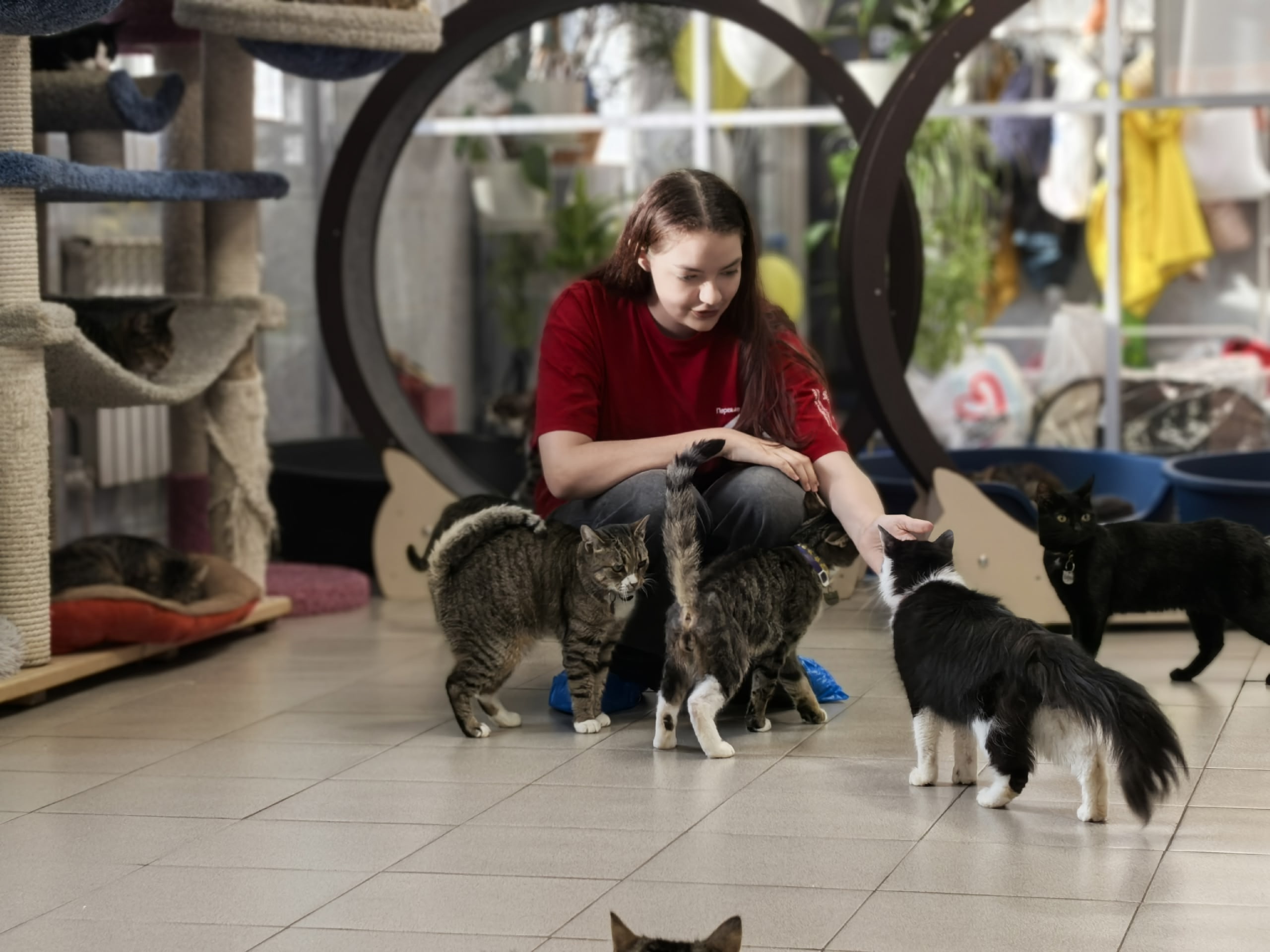 Первые Красносельского района оказали «Лапу помощи» приюту «Преданное сердце» и открыли для себя…