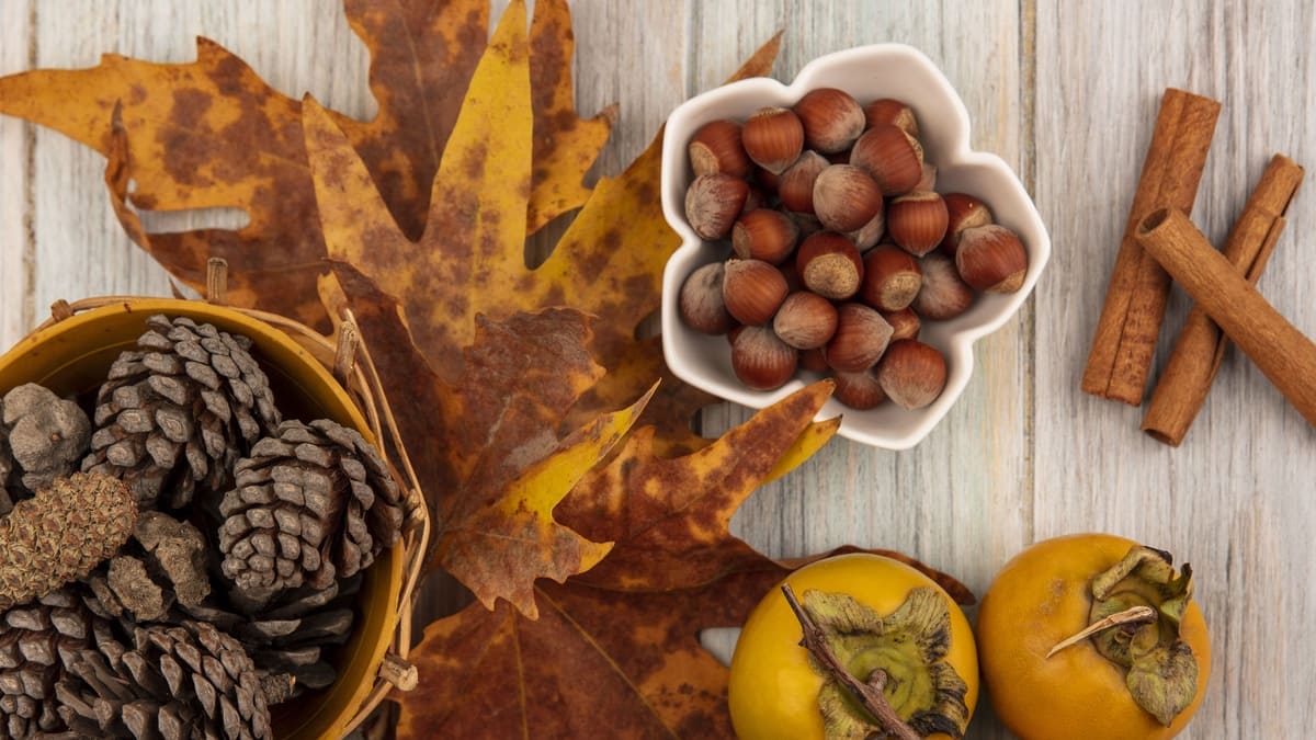 Топ-6 осенних болезней – как поддержать здоровье? Советы врача