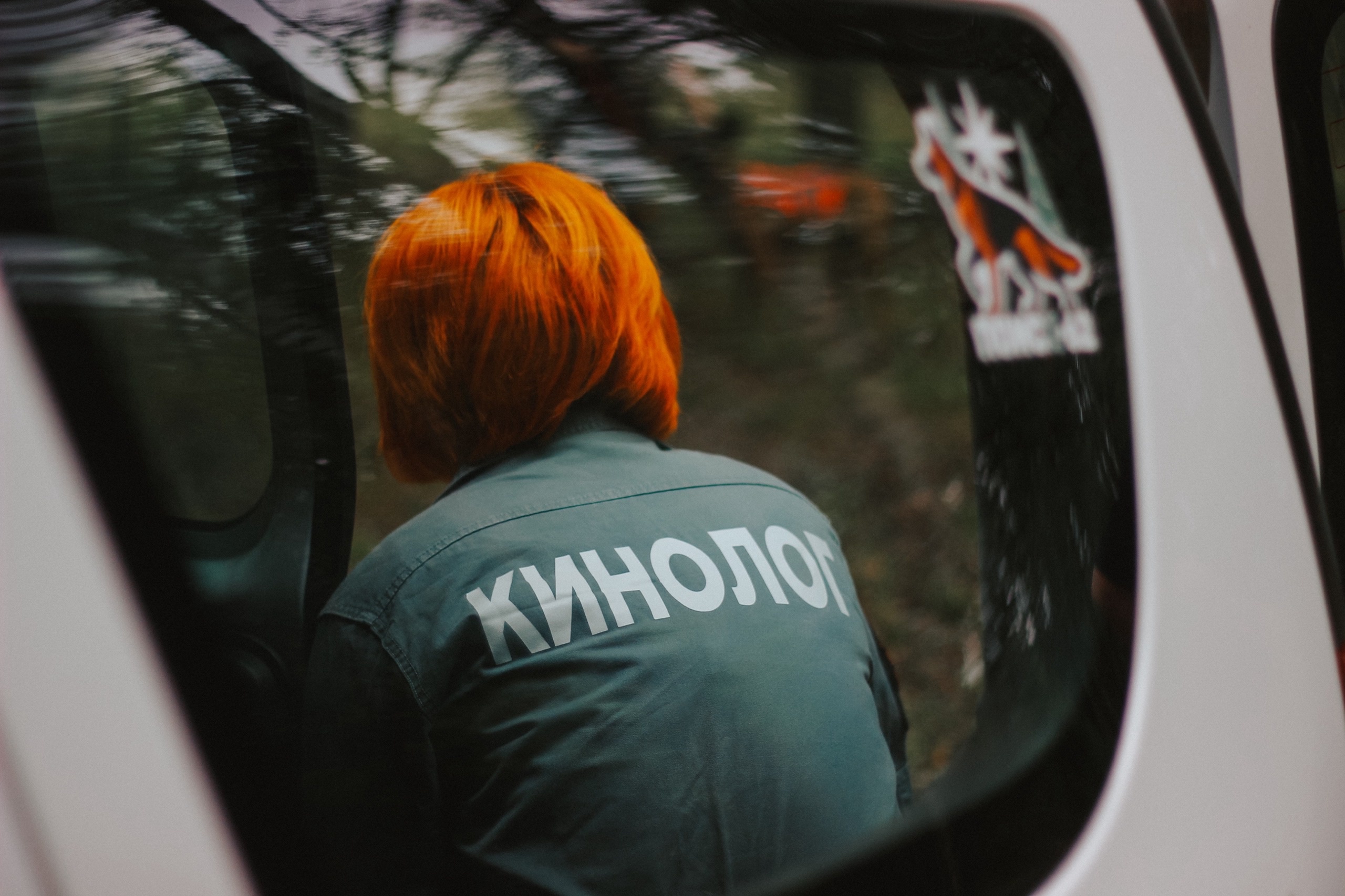 Нос, сердце и команда: как работает добровольческий кинологический отряд «Поиск-62»