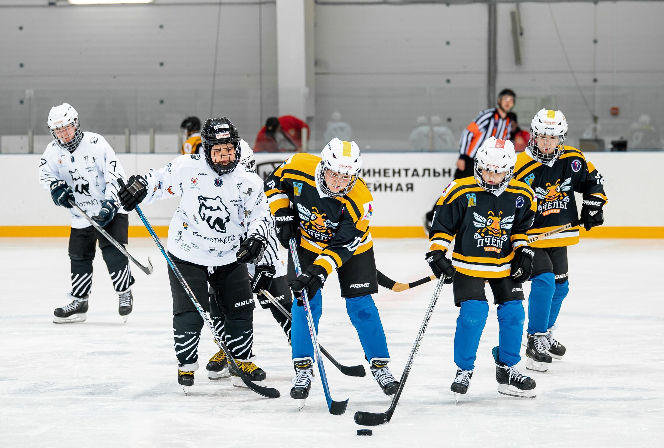 Адаптивный хоккей в Тамбове