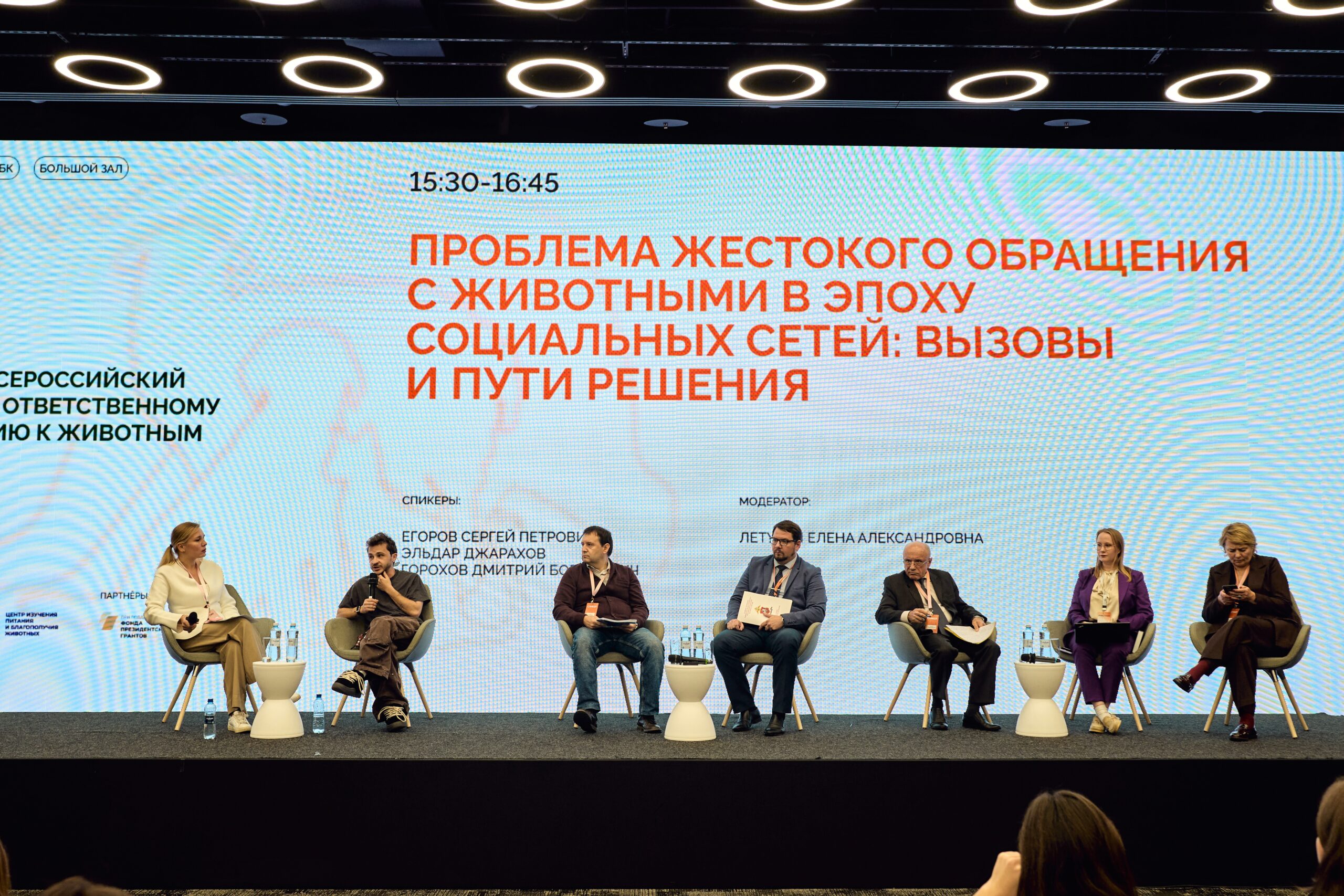 В стране создадут Всероссийскую ассоциацию приютов