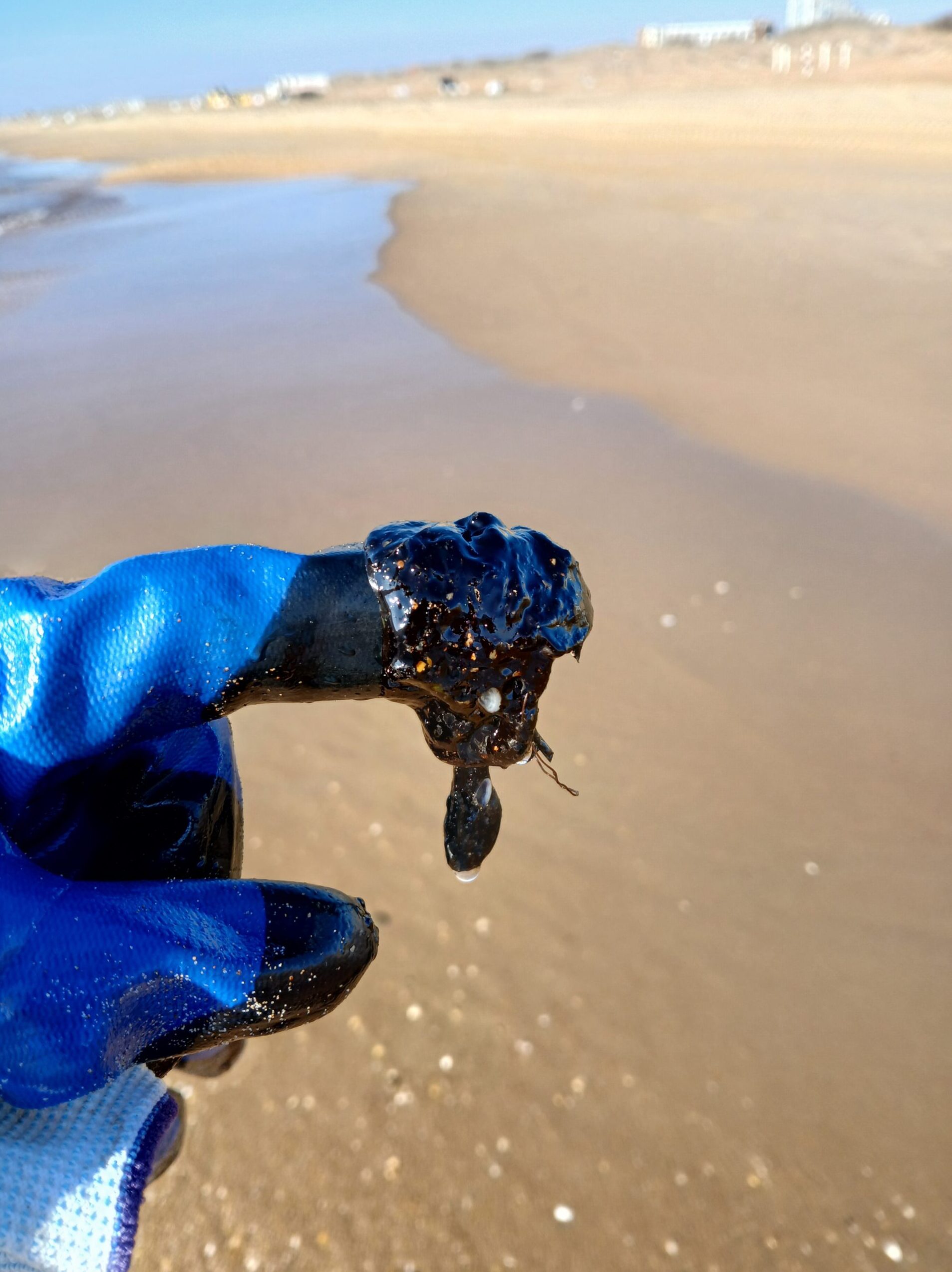 От хобби до призвания: как волонтёрство стало частью моей жизни