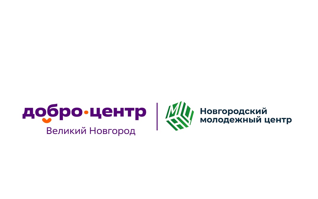 Добровольчество в Великом Новгороде — сила малых дел