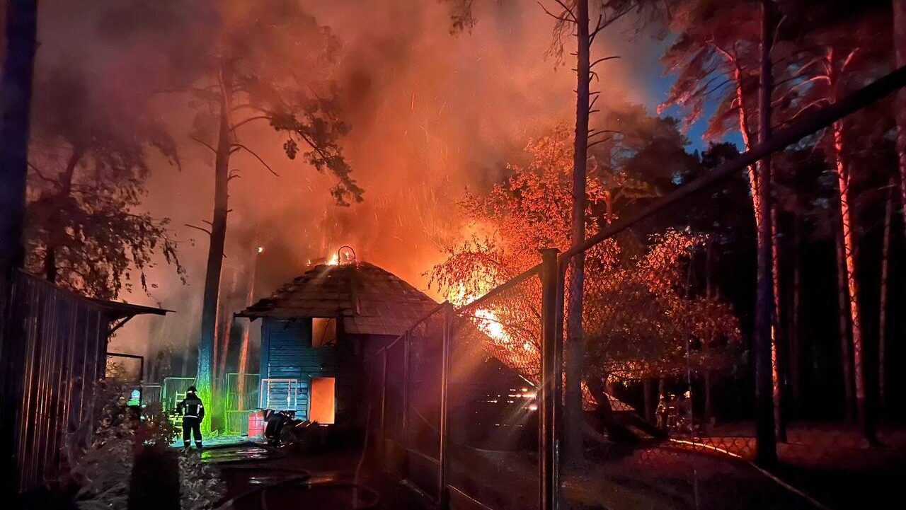 Пожар в зоопарке Новосибирска: причины и последствия