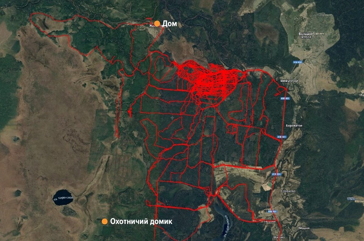 Спасли пенсионера волонтёры в Ленинградской области