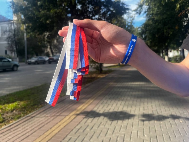 Томские молодогвардейцы и волонтеры-медики вручили тысячу триколоров в честь Дня Государственного…