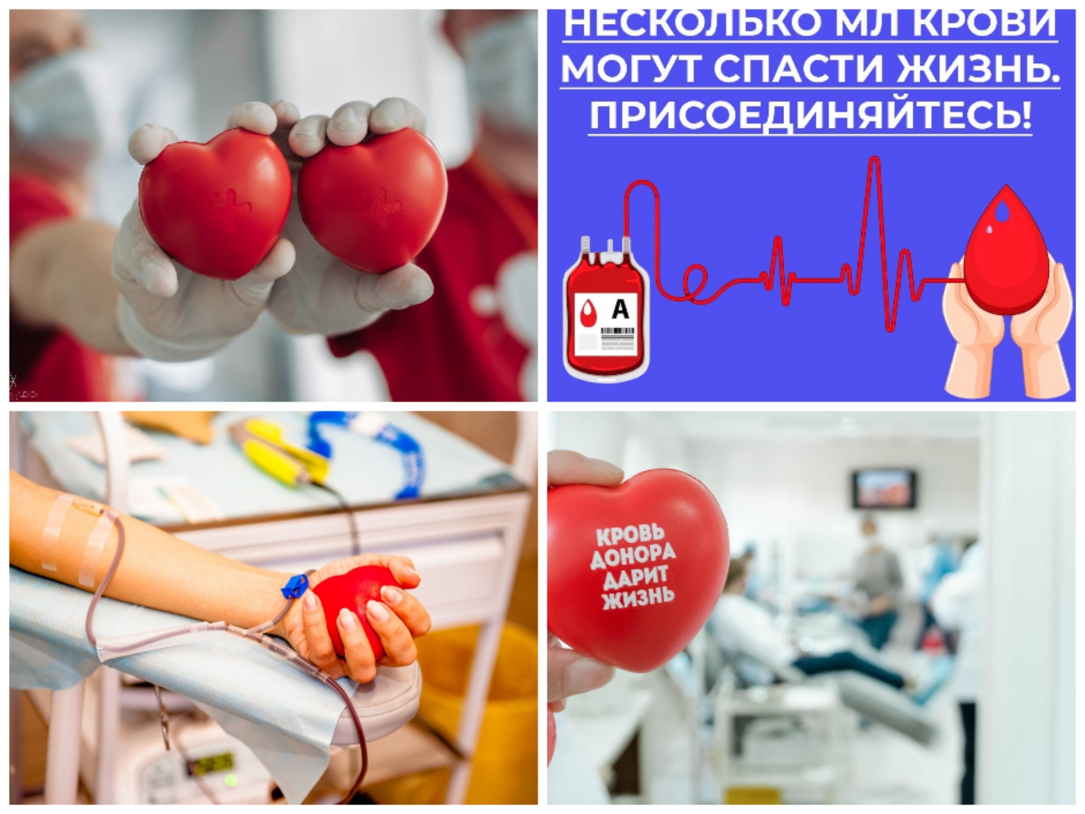 Капля жизни и добра участников проекта «Благополучие пожилых — задача молодых!»: летопись донорства…