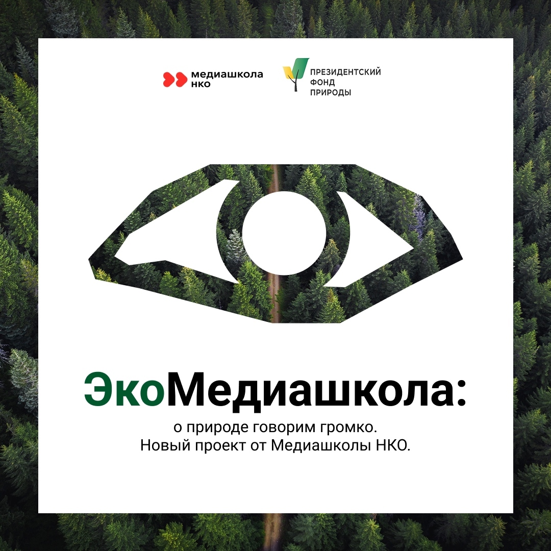 «Медиашкола НКО» при поддержке Президентского фонда природы запускает новый проект «ЭкоМедиашкола:…