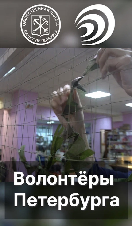 О чем я думаю, когда думаю о Волонтёрах. (Часть2) Экстремальное добро.
