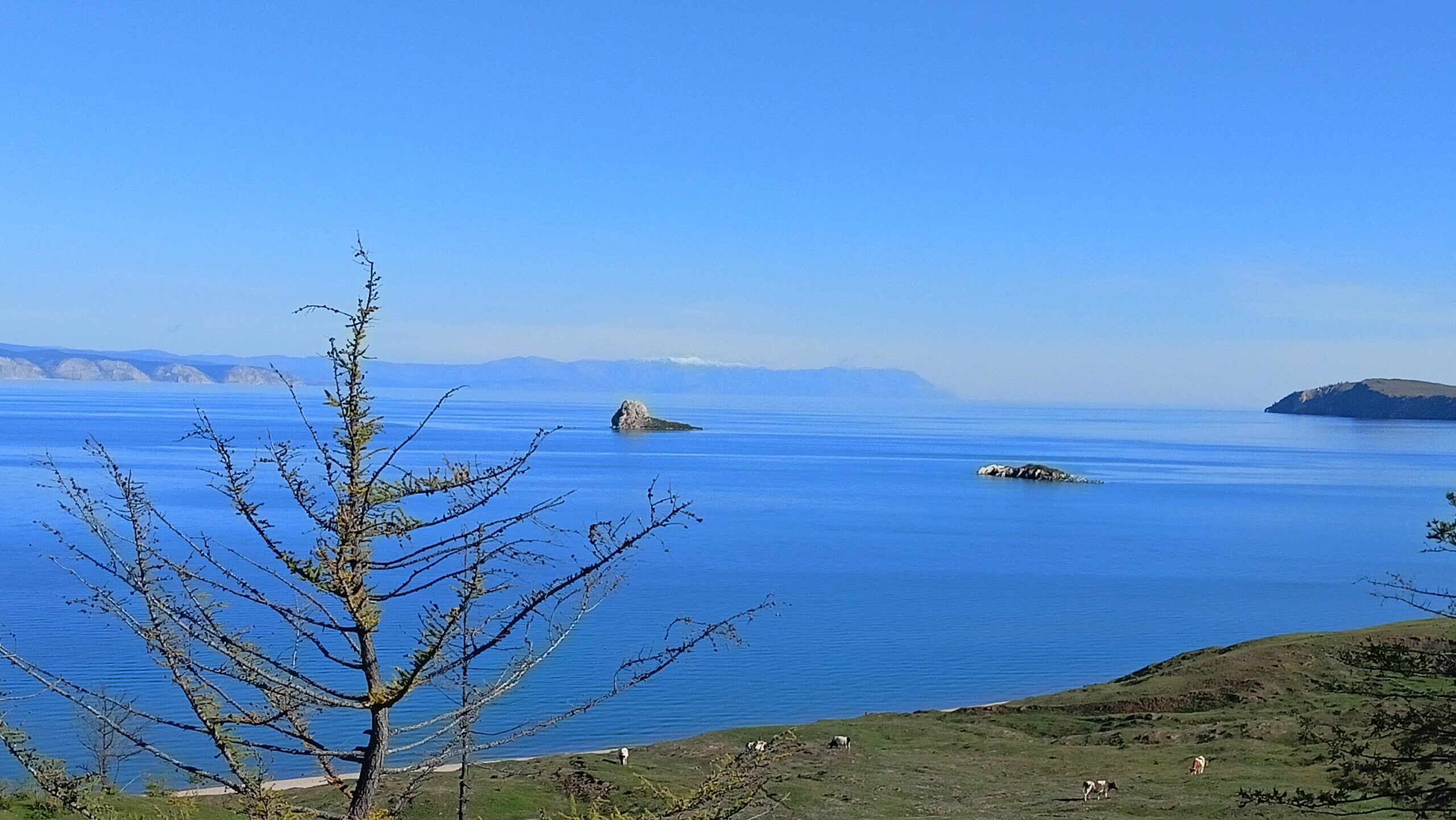 Как живут люди на острове Ольхон: репортаж Добро.Медиа